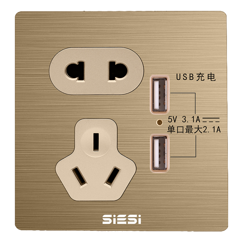 10A二三极插座带双USB-V6富贵金-d88尊龙官方网照明官网