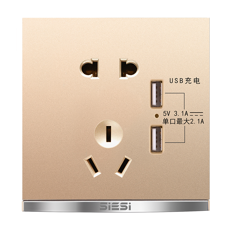 10A二三极插座带双USB-V9玫瑰金-d88尊龙官方网照明官网