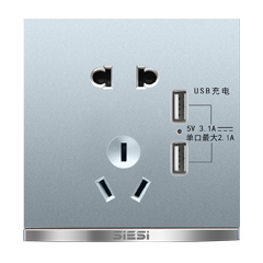 10A二三极插座带双USB-V9太空灰-d88尊龙官方网照明官网