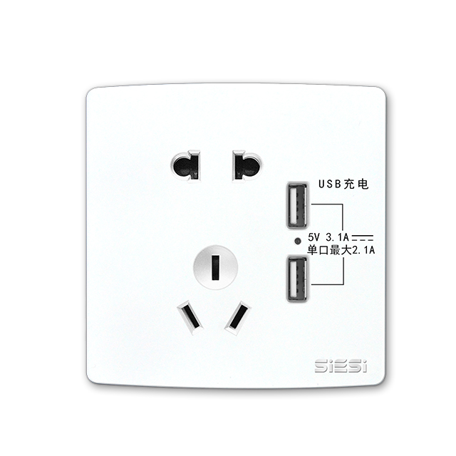 二三极插座带双USB-V10系列-d88尊龙官方网照明官网